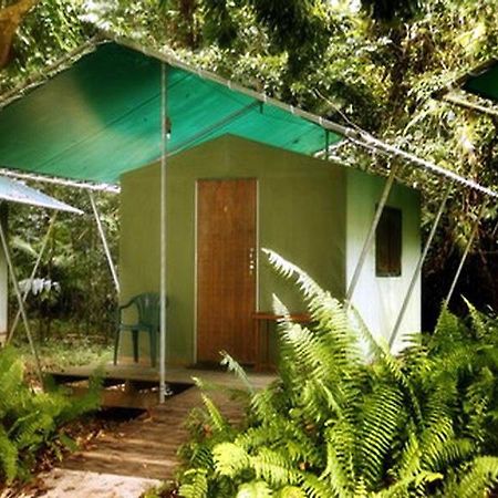 Jungle Lodge Cape Tribulation Exterior photo