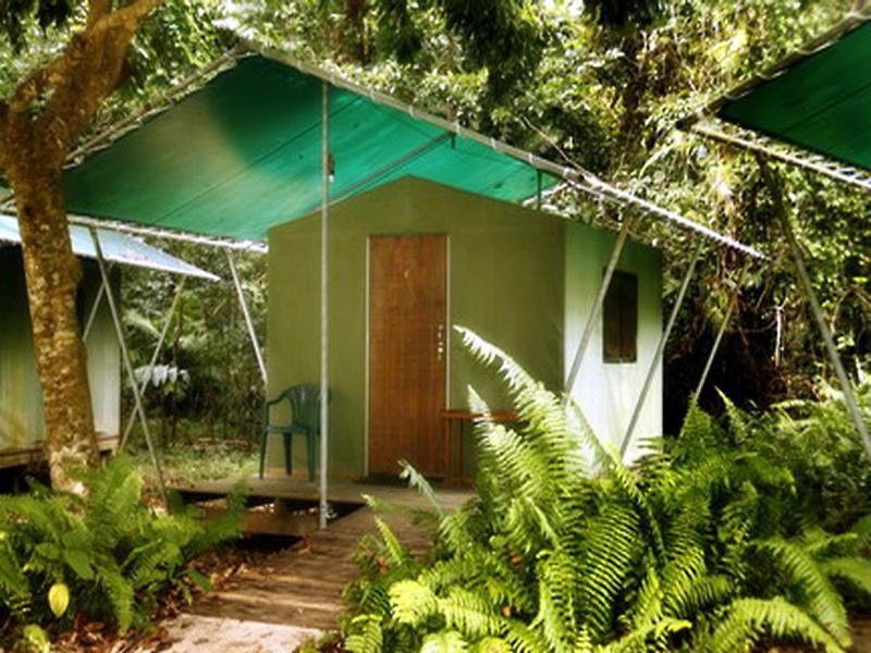 Jungle Lodge Cape Tribulation Exterior photo
