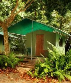 Jungle Lodge Cape Tribulation Room photo